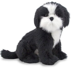 Toy dog sale shih tzu
