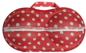 Home Union Travel Organizer Bra Bag