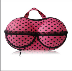 Home Union Bra Bag