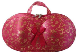 Home Union Travel Organizer Bra Bag