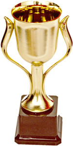 homeshopeez big premium cup