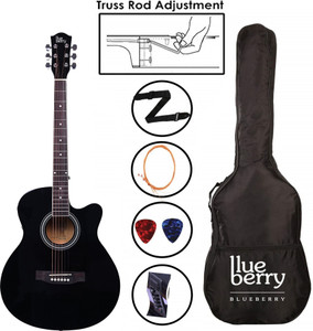 Blueberry guitar outlet price