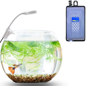 Buraq 2 In 1 Aquarium Oxygen Air Pump with Nano N 6 Aquarium Lamp