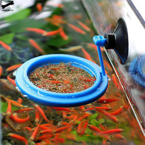 Aquarium fish feeding ring clearance