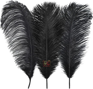 Tiptop Decoration Vibrant Natural Dyed Ostrich Feathers 9 10