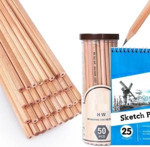29pcs Sketch Pencil Set Professional Sketching Drawing Art Pencil Set  Graphite Charcoal Stick Artist For Painter School Students
