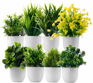 Mini/Small Green Wild Flower Artificial Flower with Pot