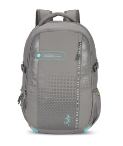 SKYBAGS VALOR PRO 04 LAPTOP BACKPACK GREY 29 L Laptop Backpack