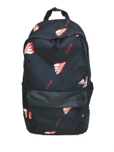 ADIDAS CLAS BP POCK G Backpack