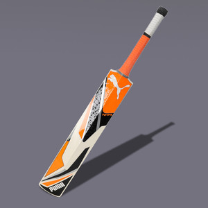 Cricket bat outlet puma price