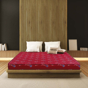 Triveni bed price sale