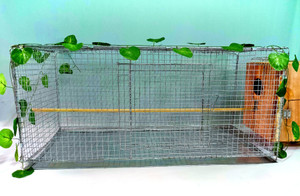 Pet Destiny bird cage 3FT 1.5FT Bird House Price in India Buy