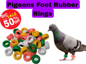 Daivin Pigeons Hard Rubber Rings Pack Of 50 Bird Shoulder Guard