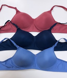 sashu Combo pack of 3 Women T-Shirt Lightly Padded Bra - Buy sashu Combo  pack of 3 Women T-Shirt Lightly Padded Bra Online at Best Prices in India