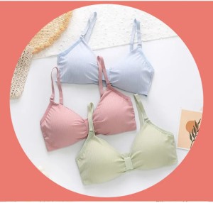 LADHAVA DH-Pink PO 1 Women Everyday Lightly Padded Bra - Buy LADHAVA DH-Pink  PO 1 Women Everyday Lightly Padded Bra Online at Best Prices in India