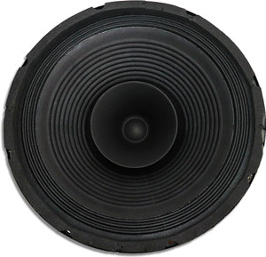 Electronic Spices 12 inch 4 to 8 ohm 100W Heavy duty 12 inch