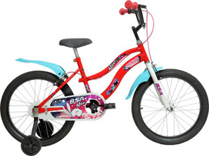 Bsa 16 inch cycle discount price