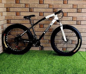 29 fat cheap tire mountain bike