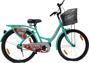 BSA Diana Ranger Sports Carrier Basket Bike SemiAssembled 95