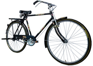 Hero desi cycle online