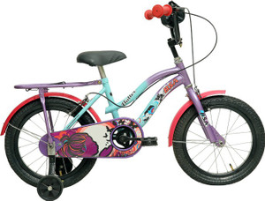 Bsa princess cycle online