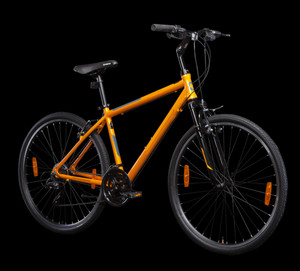 Firefox gipsy cycle sales price