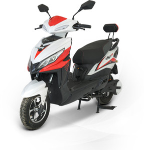 Joy e bike wolf price 2025