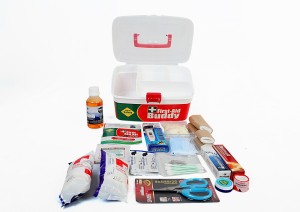 Professional 350 Piece Emergency First Aid Kit, India