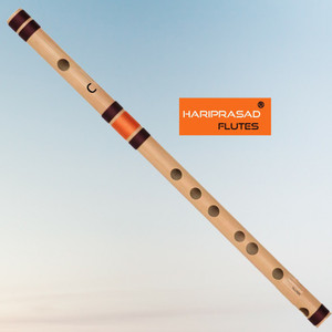 Best bansuri for beginners outlet