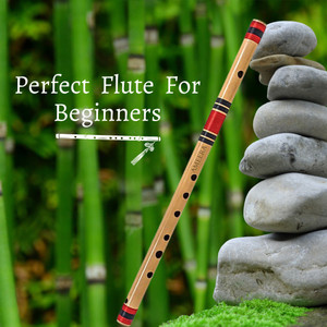 Best bansuri for outlet beginners