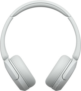 Sony store wh 300