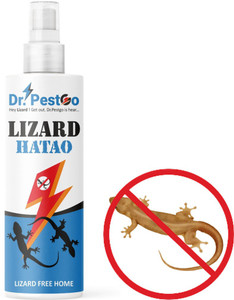 Best shop lizard repellent