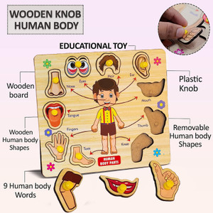 Human body sale learning toys