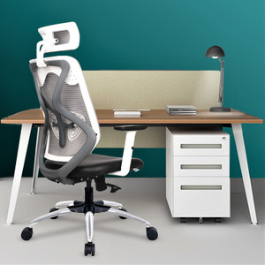 Lianfeng ergonomic office chair outlet