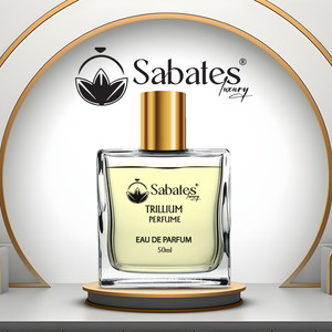 Woody shop unisex perfume