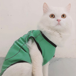 Green hotsell cat shirt