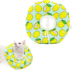 Cat 2025 licking collar