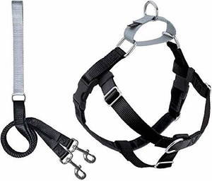 Wiggles wags and whiskers harness best sale