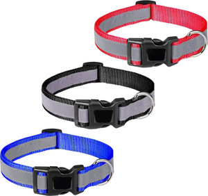 Radium belt top for dogs
