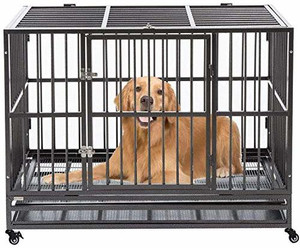 walnest PT0057321 1V1 Hard Crate Pet Crate Price in India Buy
