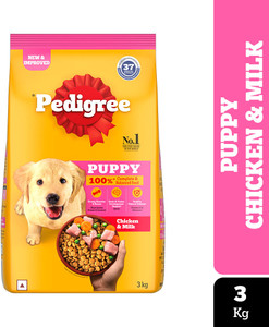 Pedigree packet price cheap