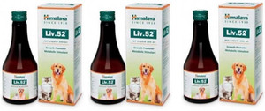 Liv 52 for dogs store