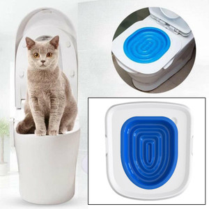 House training a cat best sale