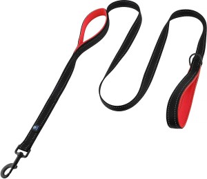 https://rukminim1.flixcart.com/image/300/300/xif0q/pet-leash-chain/f/m/z/dog-leash-heavy-duty-nylon-rope-leash-for-dogs-suitable-for-original-imagrzguzunacyph.jpeg