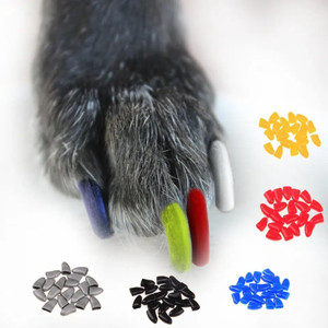 Rubber toe nail covers shop for dogs