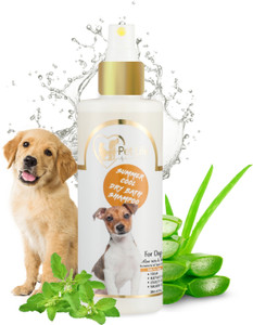 Labrador 2025 dog shampoo