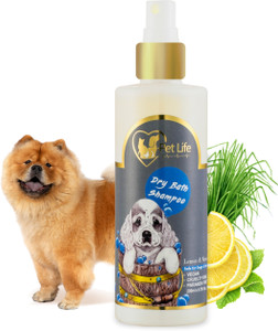 Chow chow shampoo deals
