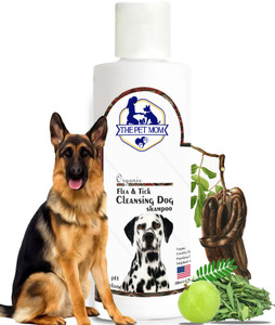 Flea medicine for german shepherds top