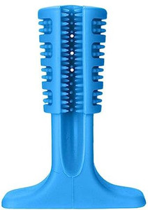 Bristly toothbrush online