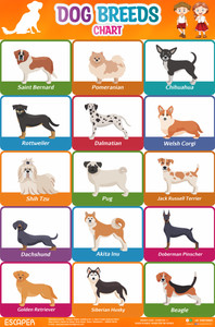 Large dog on sale breed chart